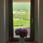 La Casa Dei Nonni 3,0 Apartment Carema