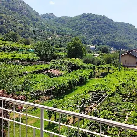 Apartamento La Casa Dei Nonni 3,0 Carema