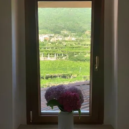 La Casa Dei Nonni 3,0 Apartment Carema